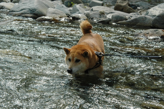 img0004.jpg