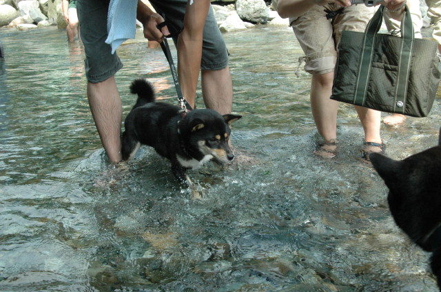 img0005.jpg