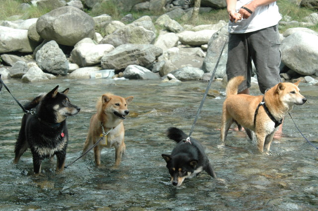 img0012.jpg