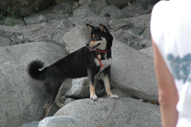 img0016.jpg