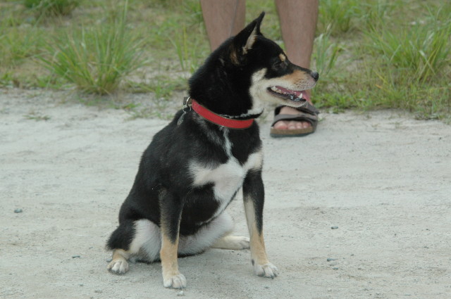 img0021.jpg