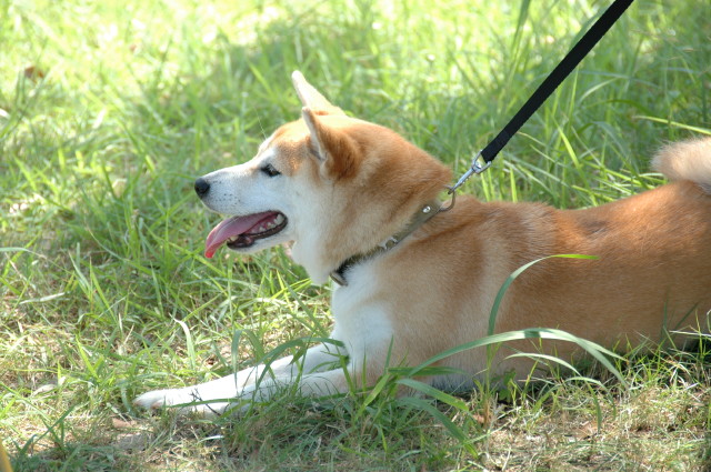 img0029.jpg